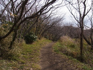 RIMG0256