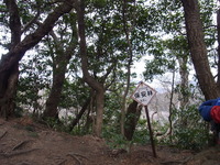RIMG0275