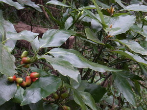 RIMG0269
