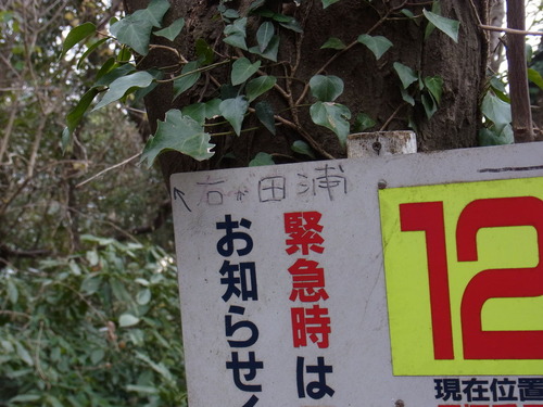 RIMG0261