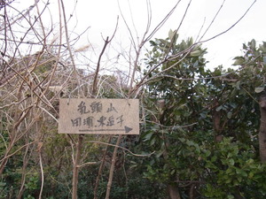 RIMG0273