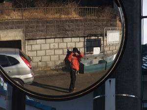 RIMG0291