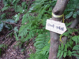 RIMG0279