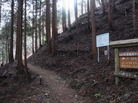 RIMG0137