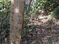 RIMG0286