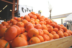 resize1157