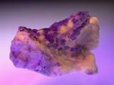 psyt0842-img600x450-1239951238n3njkk47563