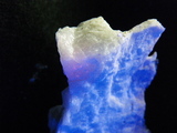 IMGP0908
