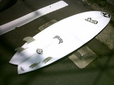 Q-shark2