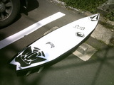 Q-shark