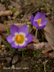 2010022803
