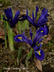 2010022801