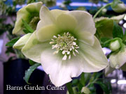 2010022601