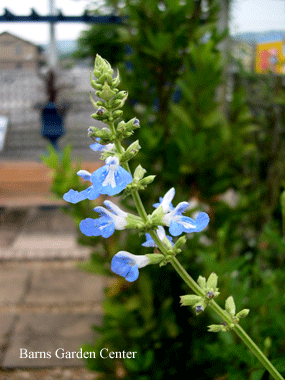 20100731