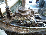 P1000952