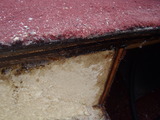 P8130691