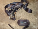 DSC01516