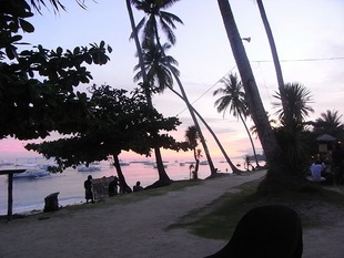 RIMG0826