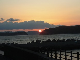 DSCN3960