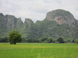 タイの田舎