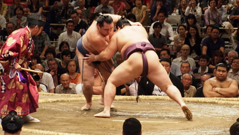 sumo-kakuryuu-02