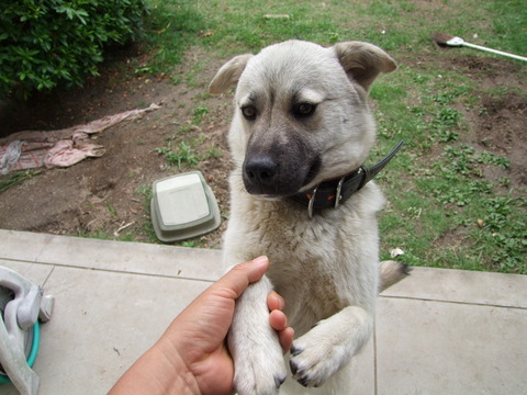 DSCF9650