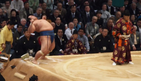 kotosyougiku