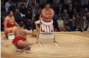 sumo-00