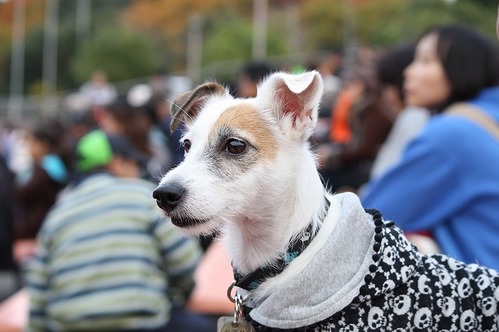 IMG_7928