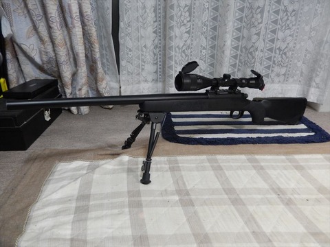 My VSR-10 : basiroの趣味日記