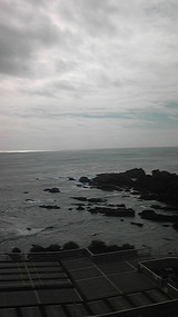 4519c36d.jpg