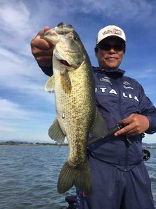 EEA918A1-FDF0-4A08-B702-6B1CCE36569B