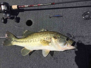 D88A5162-D5CD-459E-9465-3A7E40CD5595