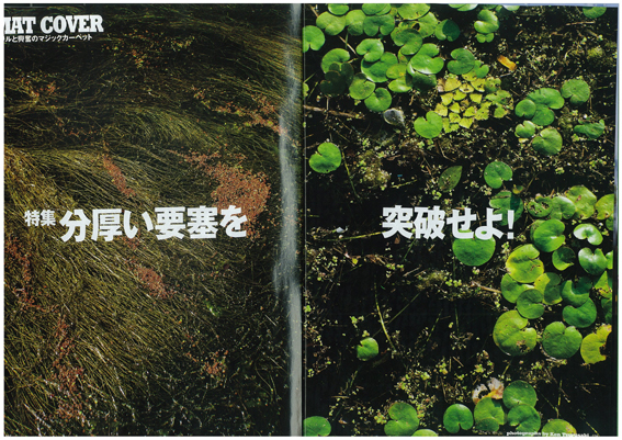 img-824161950-0001