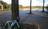 昭和記念公園