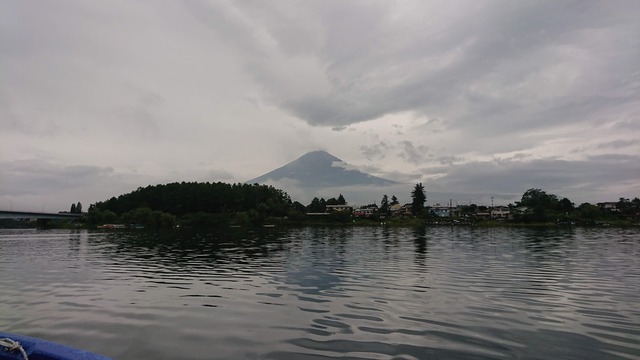 DSC_0252