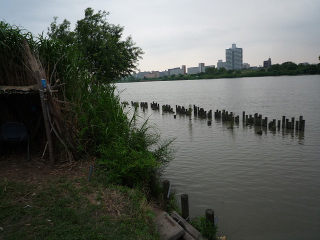 P1050474