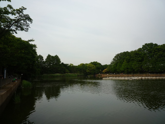 P1040220