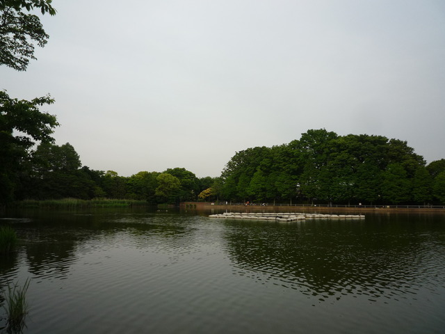 P1040218