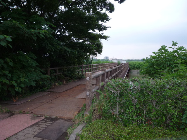P1050464