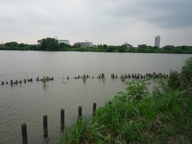 P1050478