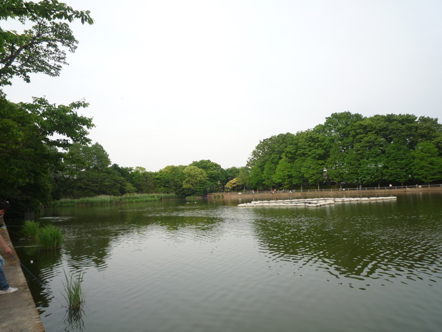 P1040216
