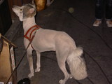 ����줿��