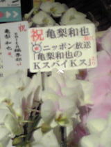 085ef788.jpg
