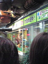 3cb04604.jpg