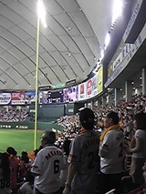 493df386.jpg