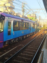 1e822428.jpg