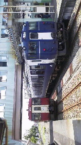 ebe41ef1.jpg