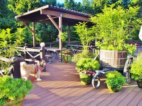 P8090070 (470x353)