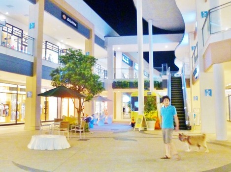 P1240522 (800x599)